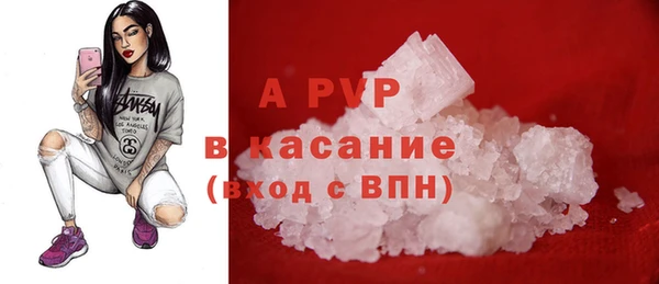сатива Зеленокумск