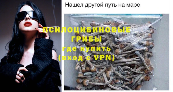 прущая мука Ельня