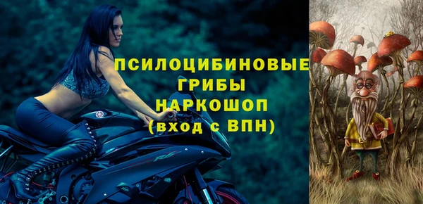 гидропоника Заводоуковск