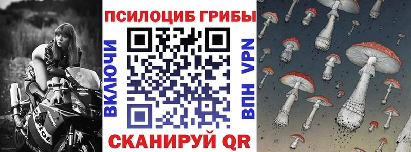Псилоцибиновые грибы ЛСД Каменка
