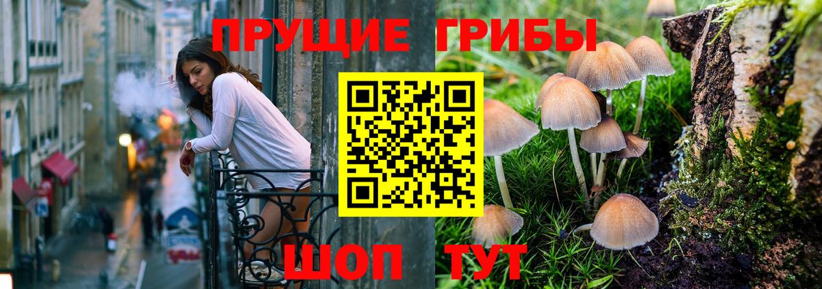 Псилоцибиновые грибы MAGIC MUSHROOMS  Вход с VPN  купить  цена  Каменка 